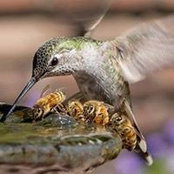 Mary Lupo's photo