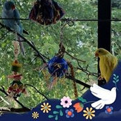 Jacki Ballantyne's photo
