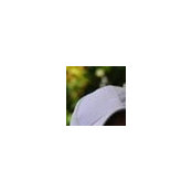 Foto von M D