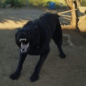 Alonso Esparza's photo
