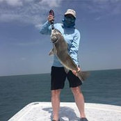 Diana Rodriguez-Ramos's photo