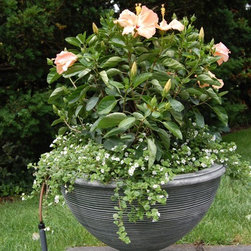 Drip Irrigation - Outdoor Products