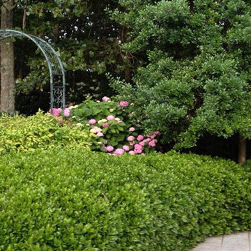 Arbors & Pergolas