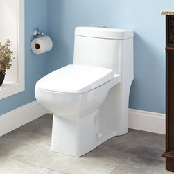 WINSLOW DUAL-FLUSH ONE-PIECE ELONGATED SIPHONIC TOILET - ADA COMPLIANT - Toilets