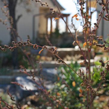 Landscape Projects