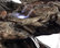 39" Tall Outdoor 4-Tier Rainforest Waterfall Fountain with LED Lights