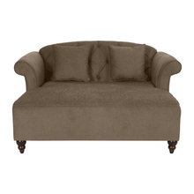Chaise Loungers / Chairs