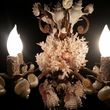 Sea Shell Mirrors