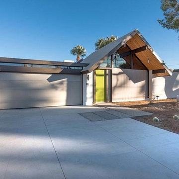 Desert Eichler #2