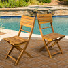 GDF Studio Vicaro Outdoor Natural Acacia Wood Foldable Dining Chairs, Set of 2
