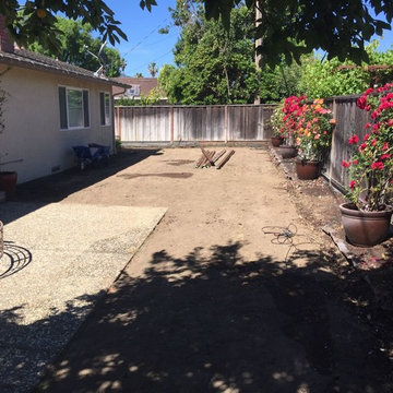 Drought Tolerant Landscape "Zero Scape"