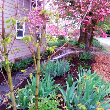 Master Gardener Landscape Makeover Rain Garden