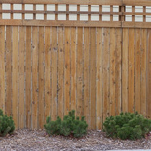 Wood Fences