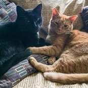 Beth Sutton's photo