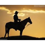 Debbie Garrison's photo