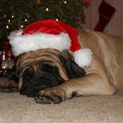 Mavis Madison's photo