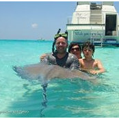 Robert Brener's photo