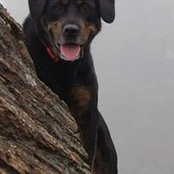 Leah Heriot's photo
