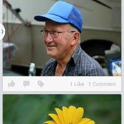 Marlene Naismith's photo