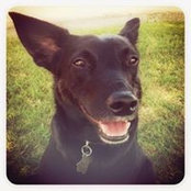 Michelle Anderson's photo