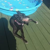 Sonja Smith-Conway RN's photo