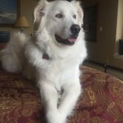 Susie Keefer's photo