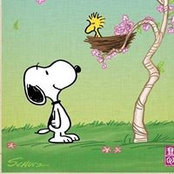 Holly Staffieri's photo