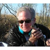 Corey Ingber's photo