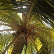 Jennifer Berg's photo