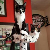 Katrina Griffiths's photo