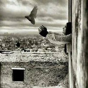 MariaM Mohammed's photo