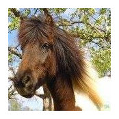 Heike Strecker's photo