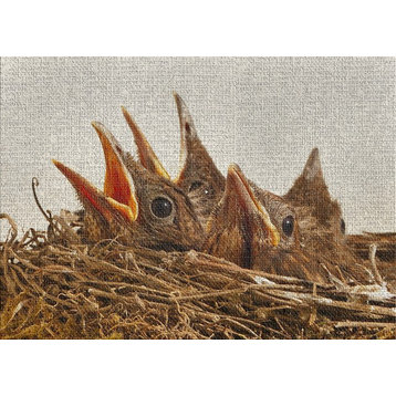 Baby Birds Area Rug, 5'0"x7'0"