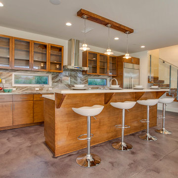 Venice Beach modern house