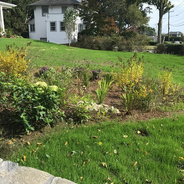 Pollinator and Rain Gardens