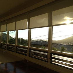 Screen Roller Shades - Products