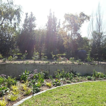 Informal scented garden
