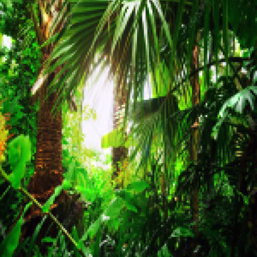 Large Custom Abstract Jungle Painting