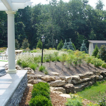 Backyard Landscaping
