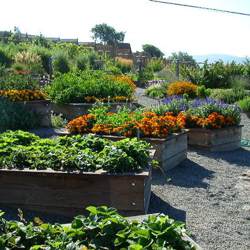 Vegetable gardens