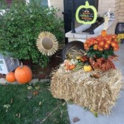 Kate Hackbarth Molkentine's photo