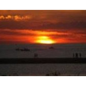 Kathleen Balcom's photo