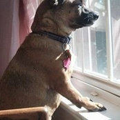 Thomas Kelley's photo