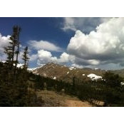 Josh Rubin's photo
