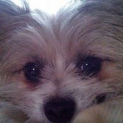 Foto de Tari Cooper
