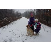 Daren MacDonald's photo