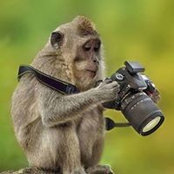 Henri Saltimbanque's photo