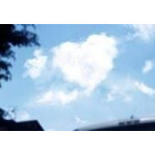 Holly Brignac's photo