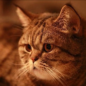 Kevin Hu's photo