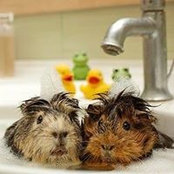 Elizabeth Berns's photo